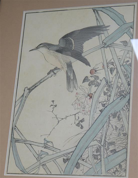 Japanese School Studies of birds amongst foliage 13 x 9in.